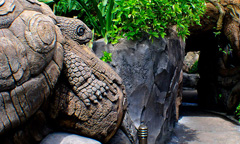 A peaceful jungle path located in Disney’s Animal Kingdom.